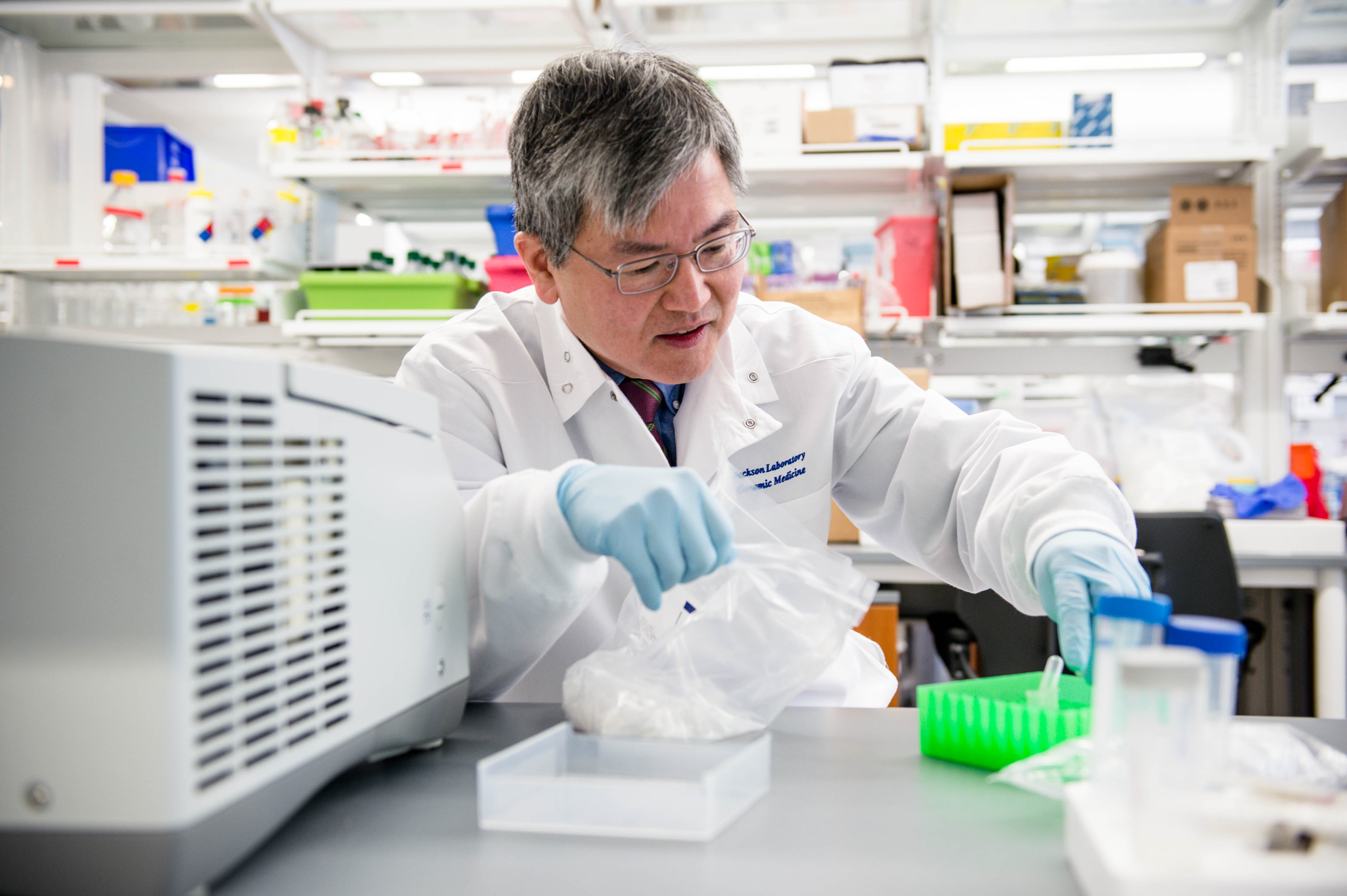 Dr. Ching Lau in his lab.