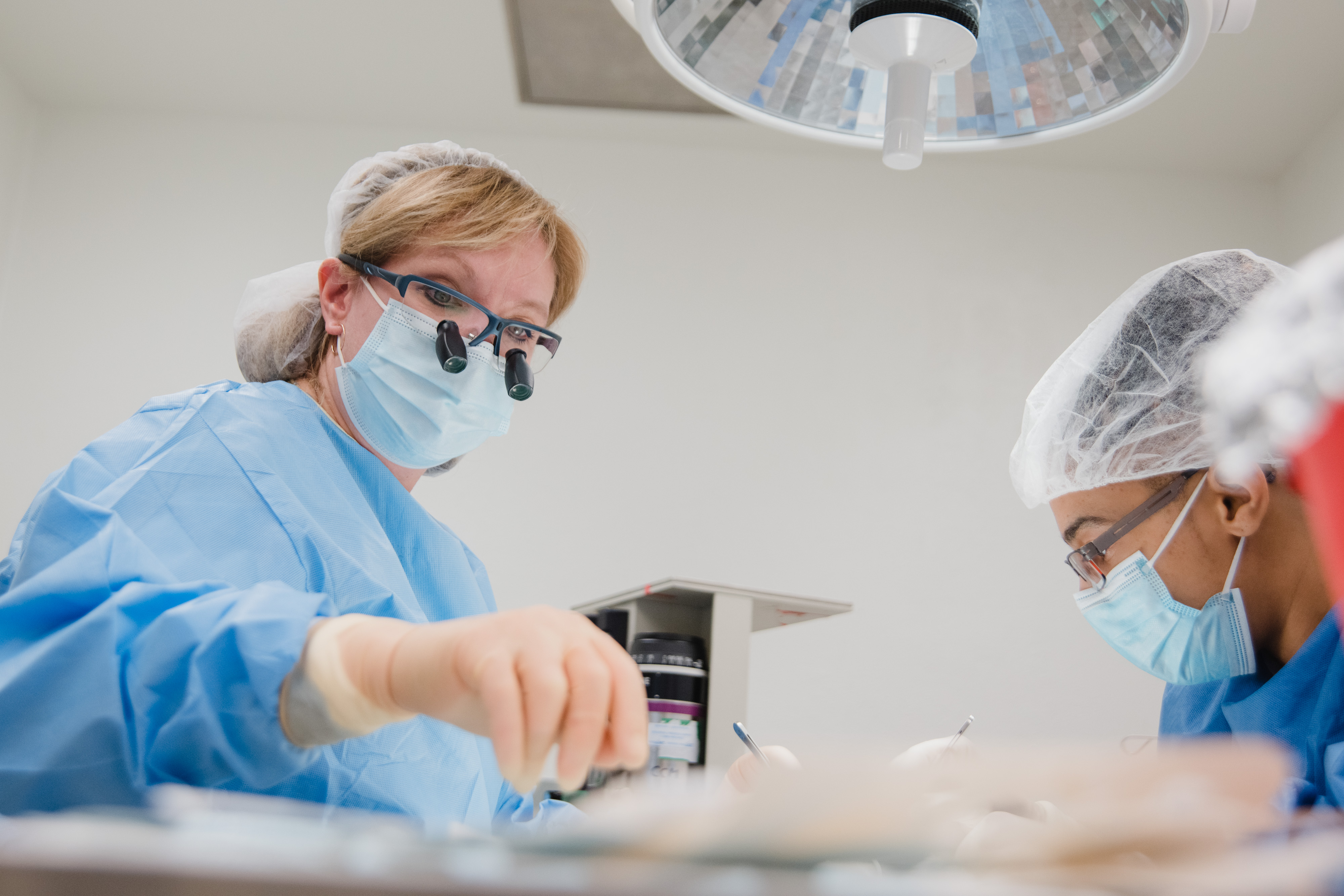 Dr. Finck working in the lab