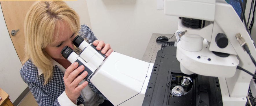 Dr. Finck looking through microscope