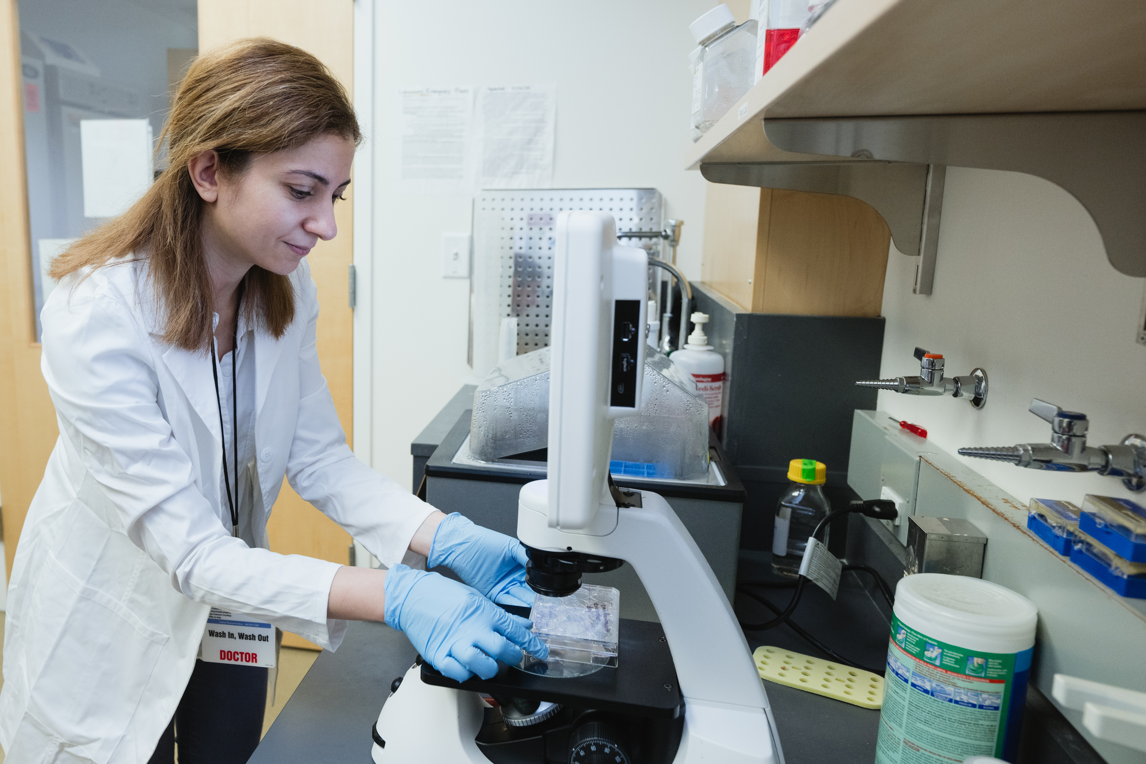 Dr. Saneh looking at specimens under the microscope